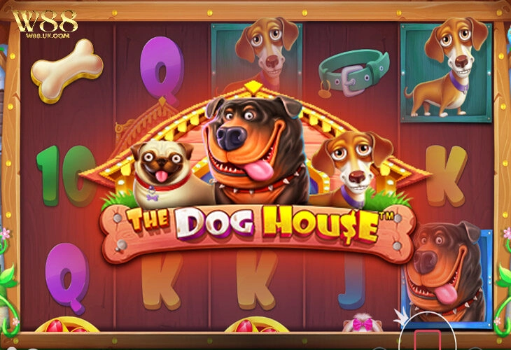 Tìm hiểu về game slot The Dog House