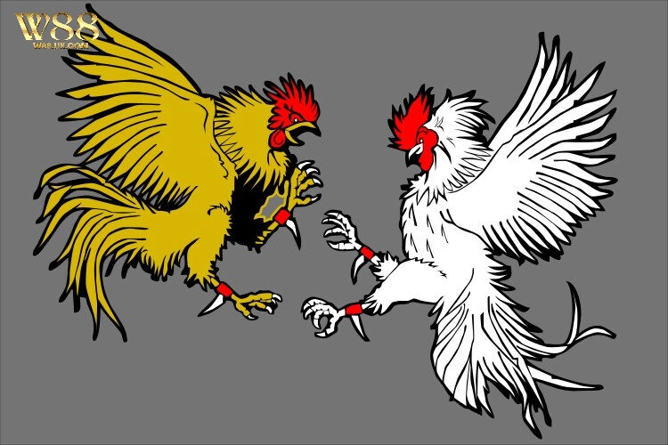 W88 đã khẳng định vị thế là nhà cái đá gà trực tuyến uy tín hàng đầu.